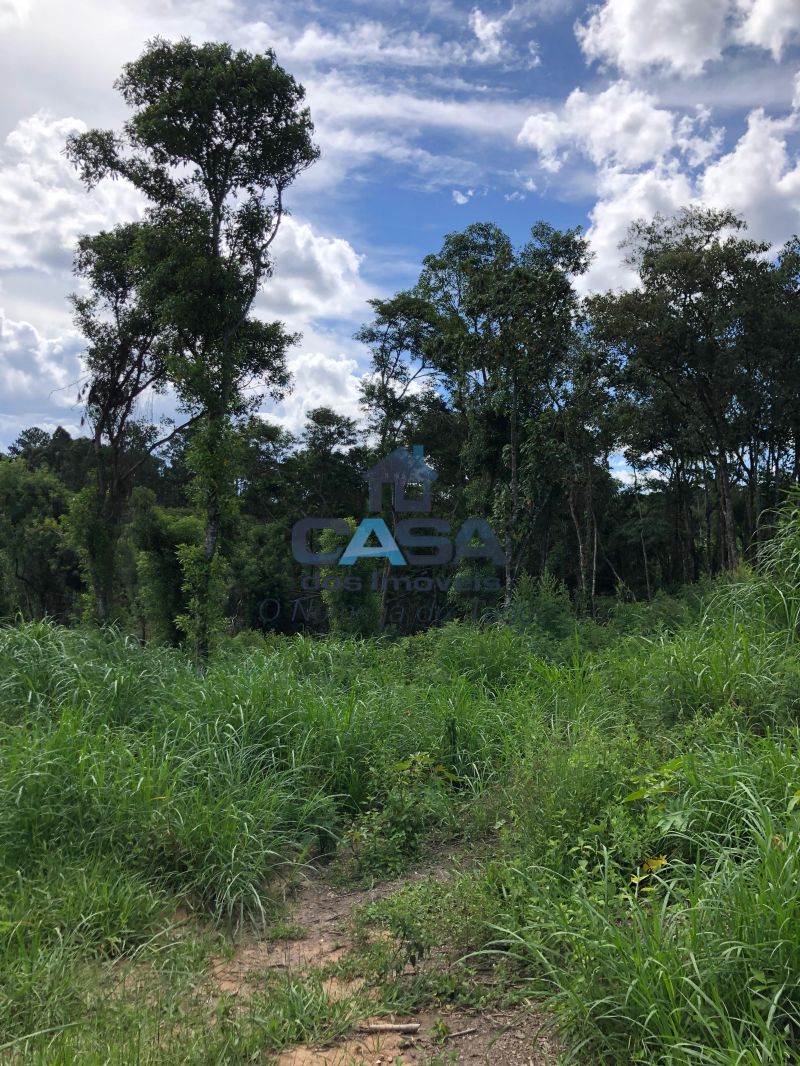 Terreno em Sorocamirim (Canguera), São Roque - Excelente Terreno para Investimentos na Turística Rota do Vinho. - Foto 2