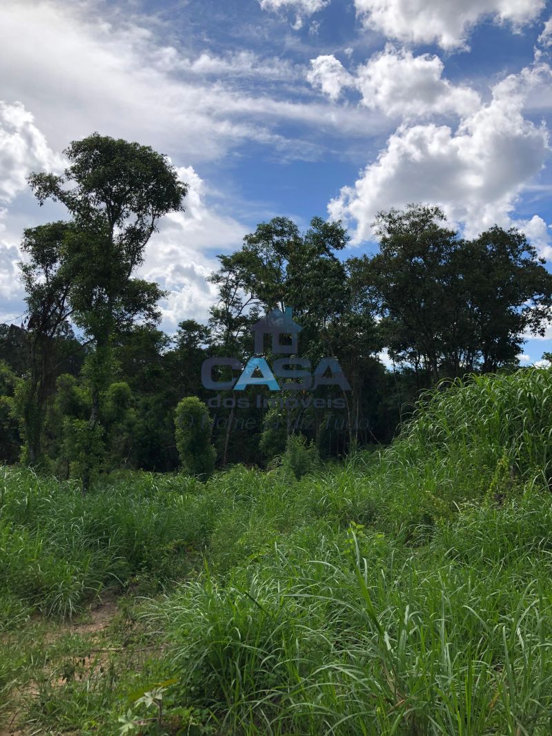 Terreno em Sorocamirim (Canguera), São Roque - Excelente Terreno para Investimentos na Turística Rota do Vinho. - Foto 3