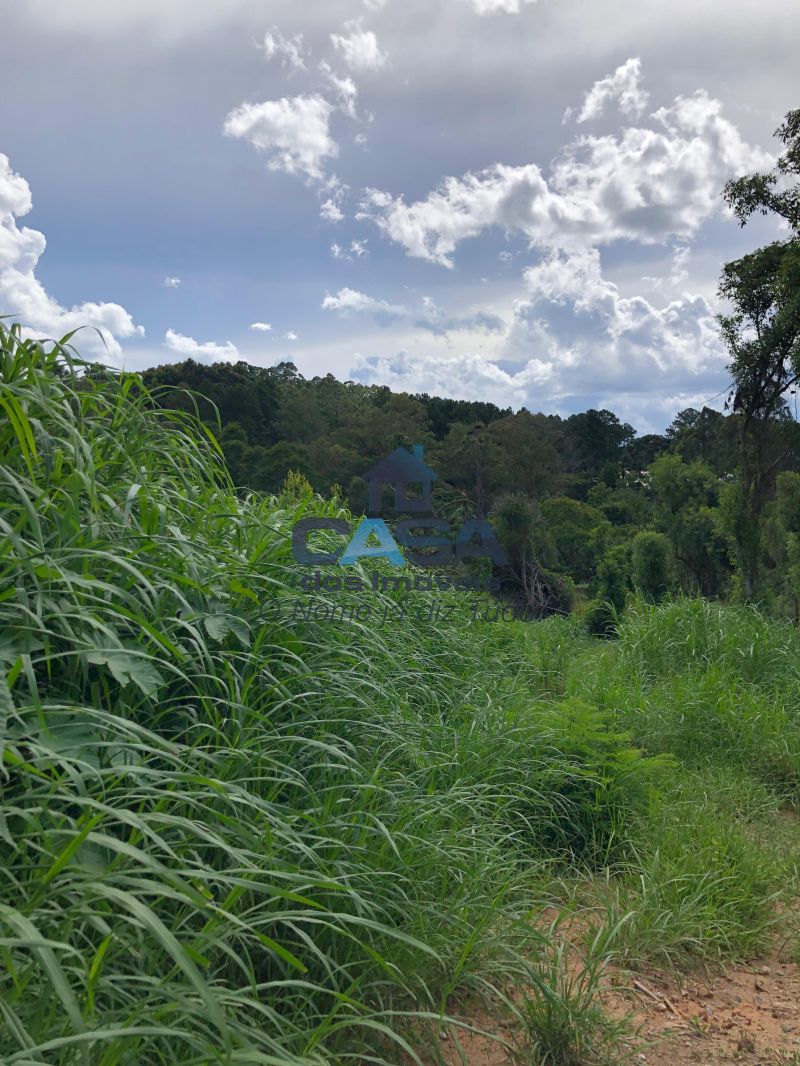 Terreno em Sorocamirim (Canguera), São Roque - Foto 4