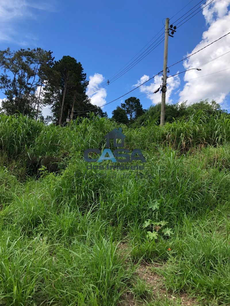 Terreno em Sorocamirim (Canguera), São Roque - Foto 5