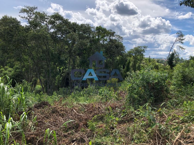 Terreno em Sorocamirim (Canguera), São Roque - Foto 8