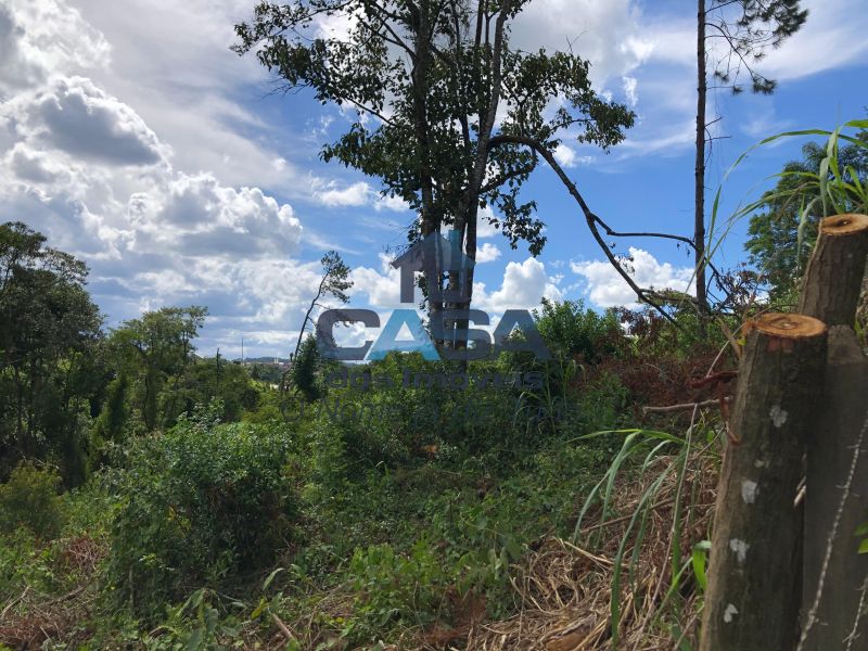Terreno em Sorocamirim (Canguera), São Roque - Foto 9