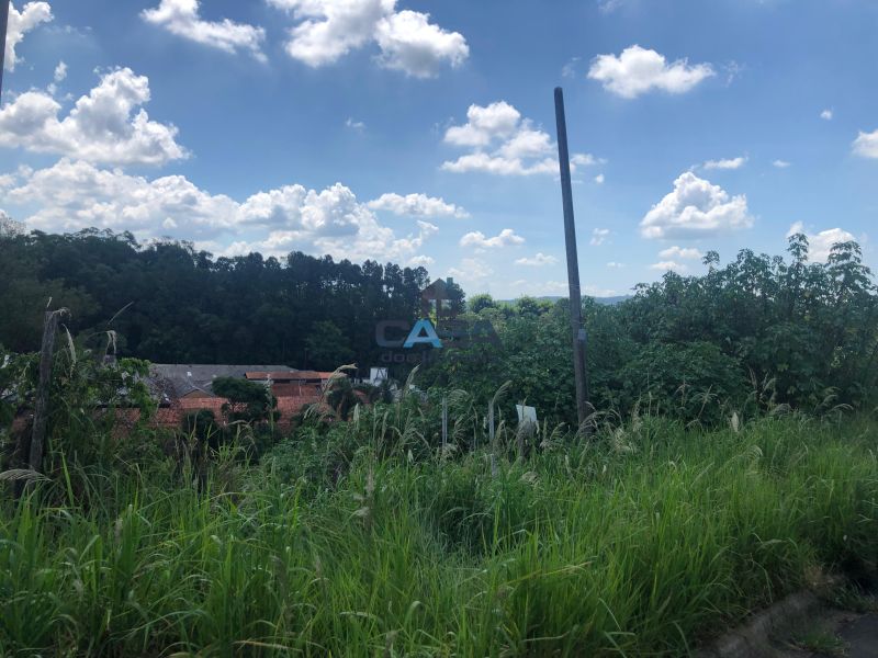 Terreno em Jardim Vinhas Do Sol (Mailasqui), São Roque - Foto 4