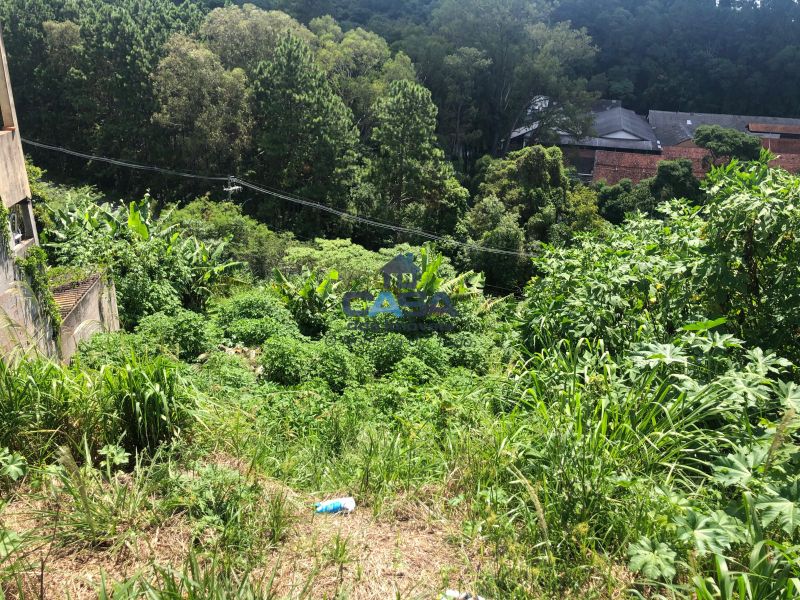 Terreno em Jardim Vinhas Do Sol (Mailasqui), São Roque - Foto 2