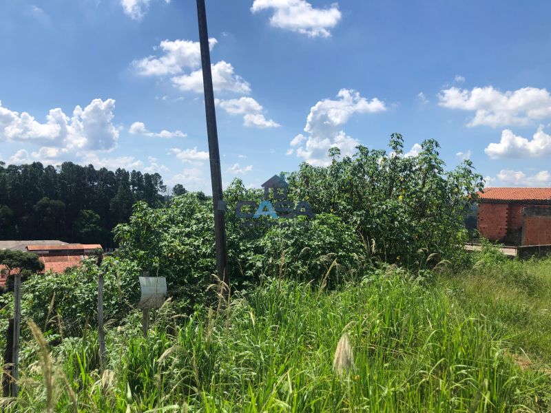 Terreno em Jardim Vinhas Do Sol (Mailasqui), São Roque - Foto 7