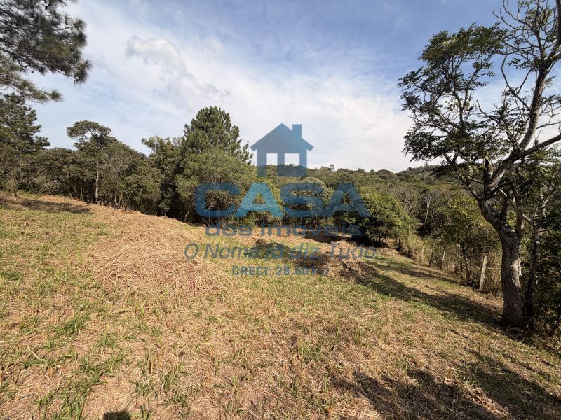 Terreno em Planalto Verde, São Roque - Foto 7